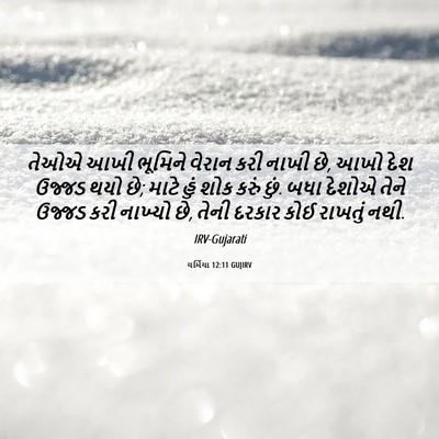 Picture 06 - યર્મિયા 12:11 GUJIRV - તેઓએ આખી ભૂમિને - Bible Verse Picture
