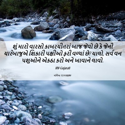 Picture 06 - યર્મિયા 12:9 GUJIRV - શું મારો વારસો - Bible Verse Picture