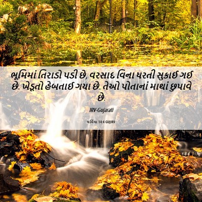 Picture 06 - યર્મિયા 14:4 GUJIRV - ભૂમિમાં તિરાડો - Bible Verse Picture