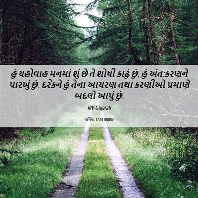 Picture 06 - યર્મિયા 17:10 GUJIRV - હું યહોવાહ મનમાં - Bible Verse Picture