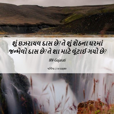 Picture 06 - યર્મિયા 2:14 GUJIRV - શું ઇઝરાયલ દાસ છે? - Bible Verse Picture