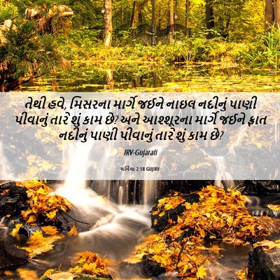 Picture 06 - યર્મિયા 2:18 GUJIRV - તેથી હવે, મિસરના - Bible Verse Picture