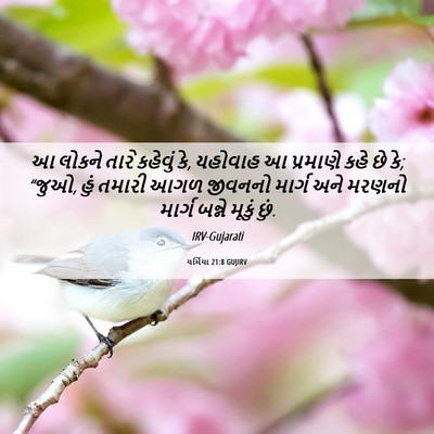 Picture 06 - યર્મિયા 21:8 GUJIRV - આ લોકને તારે - Bible Verse Picture