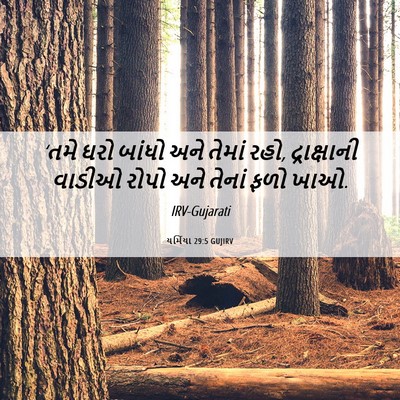 Picture 06 - યર્મિયા 29:5 GUJIRV - ‘તમે ઘરો બાંધો અને - Bible Verse Picture