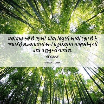 Picture 06 - યર્મિયા 31:27 GUJIRV - યહોવાહ કહે છે “જુઓ, - Bible Verse Picture