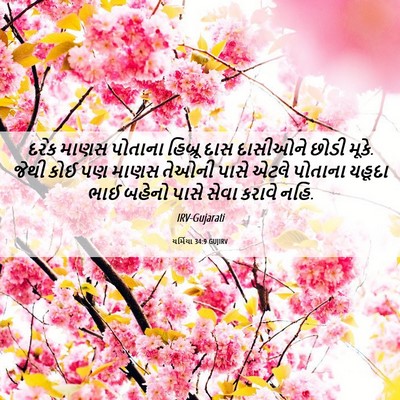 Picture 06 - યર્મિયા 34:9 GUJIRV - દરેક માણસ પોતાના - Bible Verse Picture