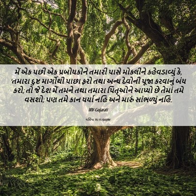 Picture 06 - યર્મિયા 35:15 GUJIRV - મેં એક પછી એક - Bible Verse Picture