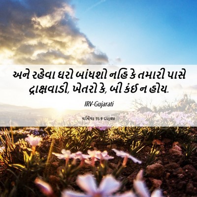 Picture 06 - યર્મિયા 35:9 GUJIRV - અને રહેવા ઘરો - Bible Verse Picture