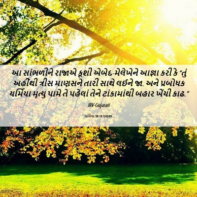 Picture 06 - યર્મિયા 38:10 GUJIRV - આ સાંભળીને રાજાએ - Bible Verse Picture