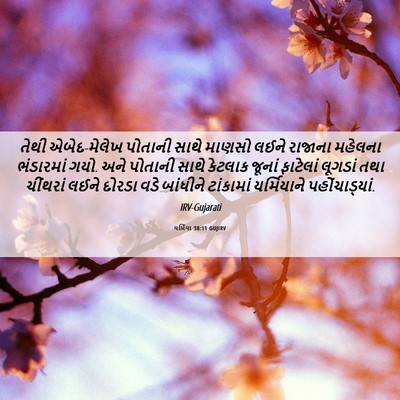 Picture 06 - યર્મિયા 38:11 GUJIRV - તેથી એબેદ-મેલેખ - Bible Verse Picture