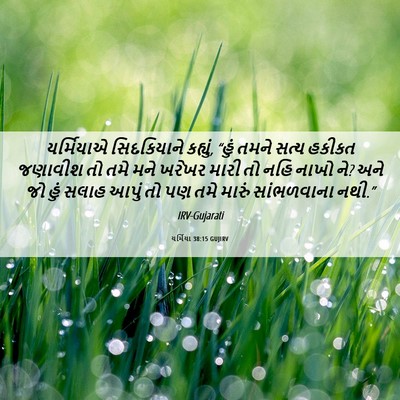 Picture 06 - યર્મિયા 38:15 GUJIRV - યર્મિયાએ - Bible Verse Picture