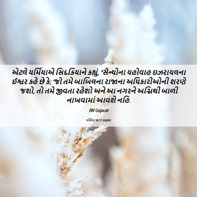 Picture 06 - યર્મિયા 38:17 GUJIRV - એટલે યર્મિયાએ - Bible Verse Picture