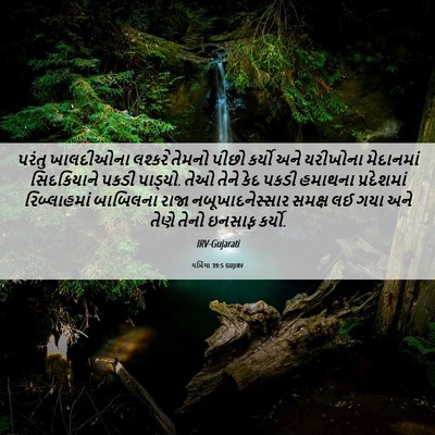 Picture 06 - યર્મિયા 39:5 GUJIRV - પરંતુ ખાલદીઓના - Bible Verse Picture