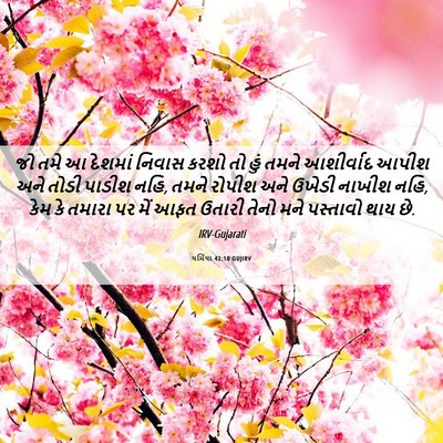 Picture 06 - યર્મિયા 42:10 GUJIRV - જો તમે આ દેશમાં - Bible Verse Picture