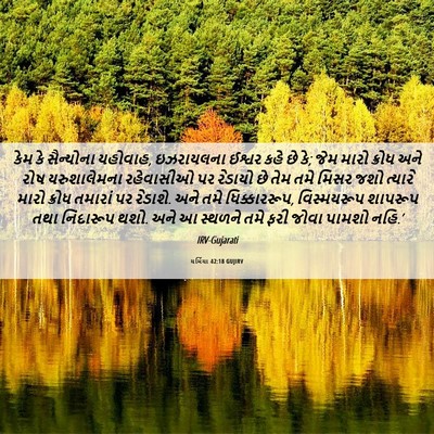 Picture 06 - યર્મિયા 42:18 GUJIRV - કેમ કે સૈન્યોના - Bible Verse Picture