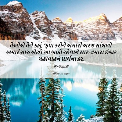 Picture 06 - યર્મિયા 42:2 GUJIRV - તેઓએ તેને કહ્યું, - Bible Verse Picture