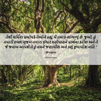 Picture 06 - યર્મિયા 42:4 GUJIRV - તેથી યર્મિયા - Bible Verse Picture