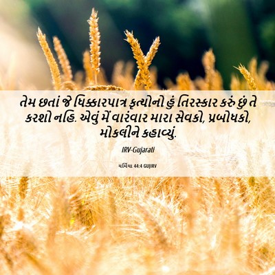 Picture 06 - યર્મિયા 44:4 GUJIRV - તેમ છતાં જે - Bible Verse Picture