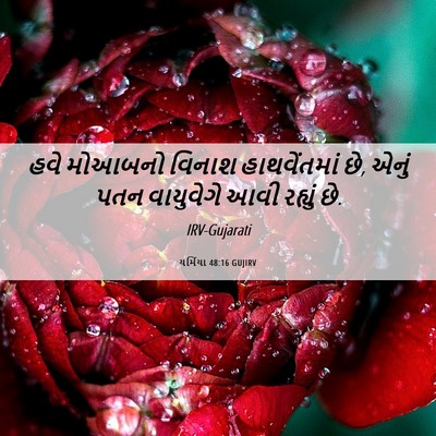 Picture 06 - યર્મિયા 48:16 GUJIRV - હવે મોઆબનો વિનાશ - Bible Verse Picture