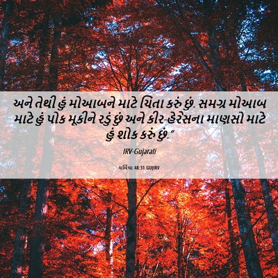 Picture 06 - યર્મિયા 48:31 GUJIRV - અને તેથી હું - Bible Verse Picture
