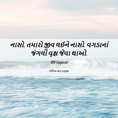 Picture 06 - યર્મિયા 48:6 GUJIRV - નાસો, તમારો જીવ - Bible Verse Picture