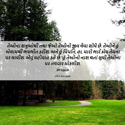 Picture 06 - યર્મિયા 49:37 GUJIRV - તેઓના શત્રુઓથી - Bible Verse Picture