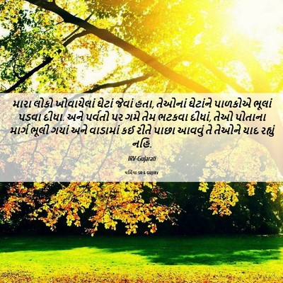 Picture 06 - યર્મિયા 50:6 GUJIRV - મારા લોકો - Bible Verse Picture