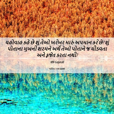 Picture 06 - યર્મિયા 7:19 GUJIRV - યહોવાહ કહે છે શું - Bible Verse Picture