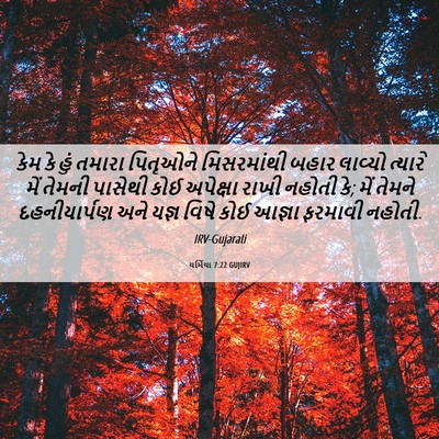 Picture 06 - યર્મિયા 7:22 GUJIRV - કેમ કે હું તમારા - Bible Verse Picture