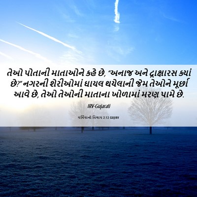 Picture 06 - યર્મિયાનો વિલાપ 2:12 GUJIRV - તેઓ પોતાની - Bible Verse Picture