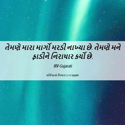Picture 06 - યર્મિયાનો વિલાપ 3:11 GUJIRV - તેમણે મારા માર્ગો - Bible Verse Picture