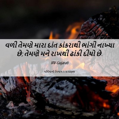 Picture 06 - યર્મિયાનો વિલાપ 3:16 GUJIRV - વળી તેમણે મારા - Bible Verse Picture