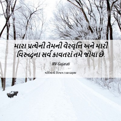 Picture 06 - યર્મિયાનો વિલાપ 3:60 GUJIRV - મારા પ્રત્યેની - Bible Verse Picture