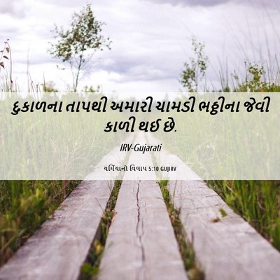 Picture 06 - યર્મિયાનો વિલાપ 5:10 GUJIRV - દુકાળના તાપથી - Bible Verse Picture