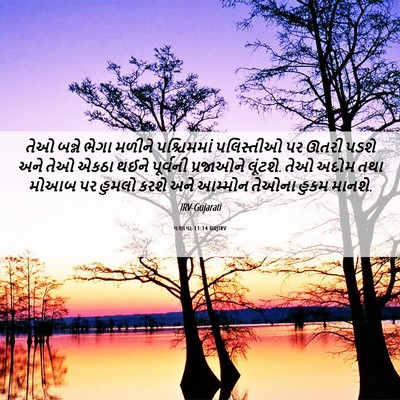 Picture 06 - યશાયા 11:14 GUJIRV - તેઓ બન્ને ભેગા - Bible Verse Picture