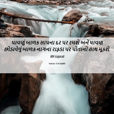 Picture 06 - યશાયા 11:8 GUJIRV - ધાવણું બાળક સાપના - Bible Verse Picture