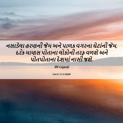 Picture 06 - યશાયા 13:14 GUJIRV - નસાડેલા હરણની જેમ - Bible Verse Picture