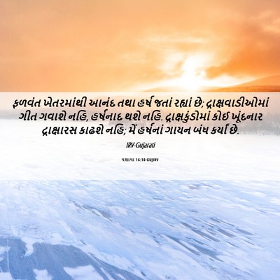 Picture 06 - યશાયા 16:10 GUJIRV - ફળવંત ખેતરમાંથી - Bible Verse Picture