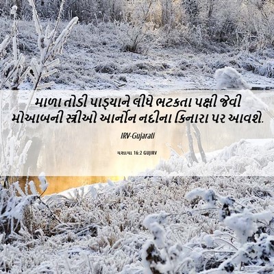 Picture 06 - યશાયા 16:2 GUJIRV - માળા તોડી - Bible Verse Picture