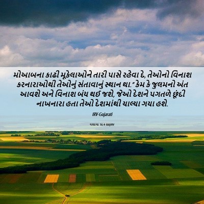 Picture 06 - યશાયા 16:4 GUJIRV - મોઆબના કાઢી - Bible Verse Picture