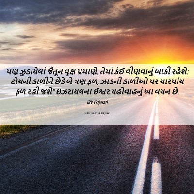 Picture 06 - યશાયા 17:6 GUJIRV - પણ ઝુડાયેલાં - Bible Verse Picture