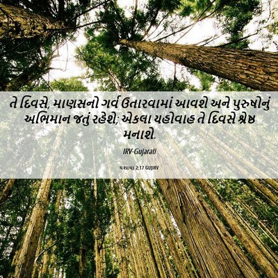 Picture 06 - યશાયા 2:17 GUJIRV - તે દિવસે, માણસનો - Bible Verse Picture