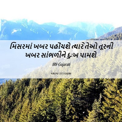 Picture 06 - યશાયા 23:5 GUJIRV - મિસરમાં ખબર - Bible Verse Picture