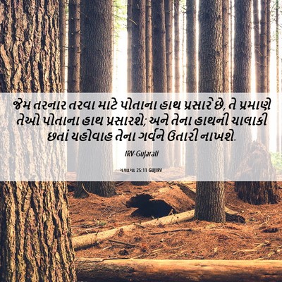 Picture 06 - યશાયા 25:11 GUJIRV - જેમ તરનાર તરવા - Bible Verse Picture