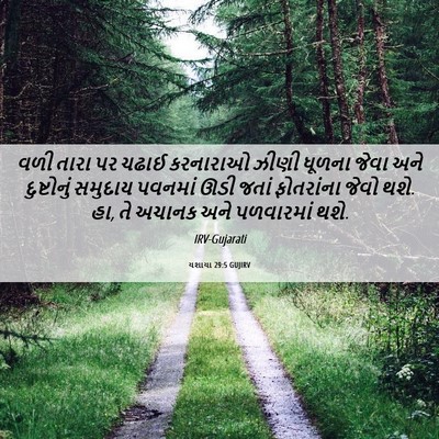 Picture 06 - યશાયા 29:5 GUJIRV - વળી તારા પર ચઢાઈ - Bible Verse Picture