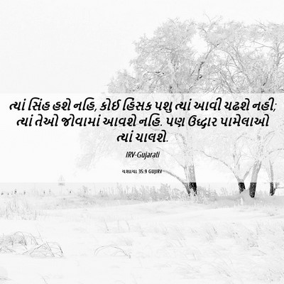 Picture 06 - યશાયા 35:9 GUJIRV - ત્યાં સિંહ હશે નહિ, - Bible Verse Picture