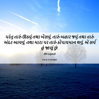 Picture 06 - યશાયા 37:28 GUJIRV - પરંતુ તારું ઊઠવું - Bible Verse Picture