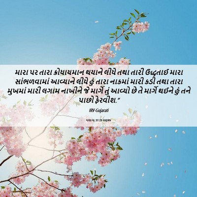 Picture 06 - યશાયા 37:29 GUJIRV - મારા પર તારા - Bible Verse Picture