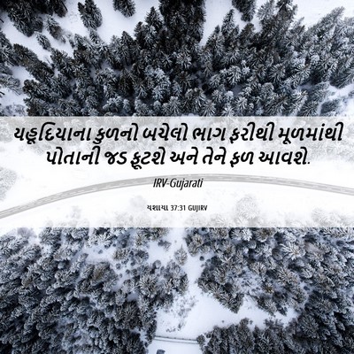 Picture 06 - યશાયા 37:31 GUJIRV - યહૂદિયાના કુળનો - Bible Verse Picture