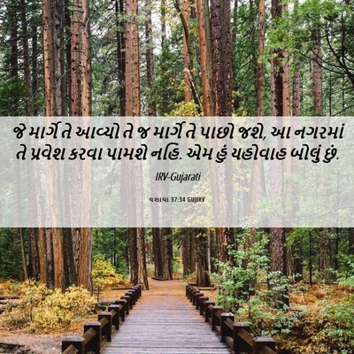 Picture 06 - યશાયા 37:34 GUJIRV - જે માર્ગે તે આવ્યો - Bible Verse Picture